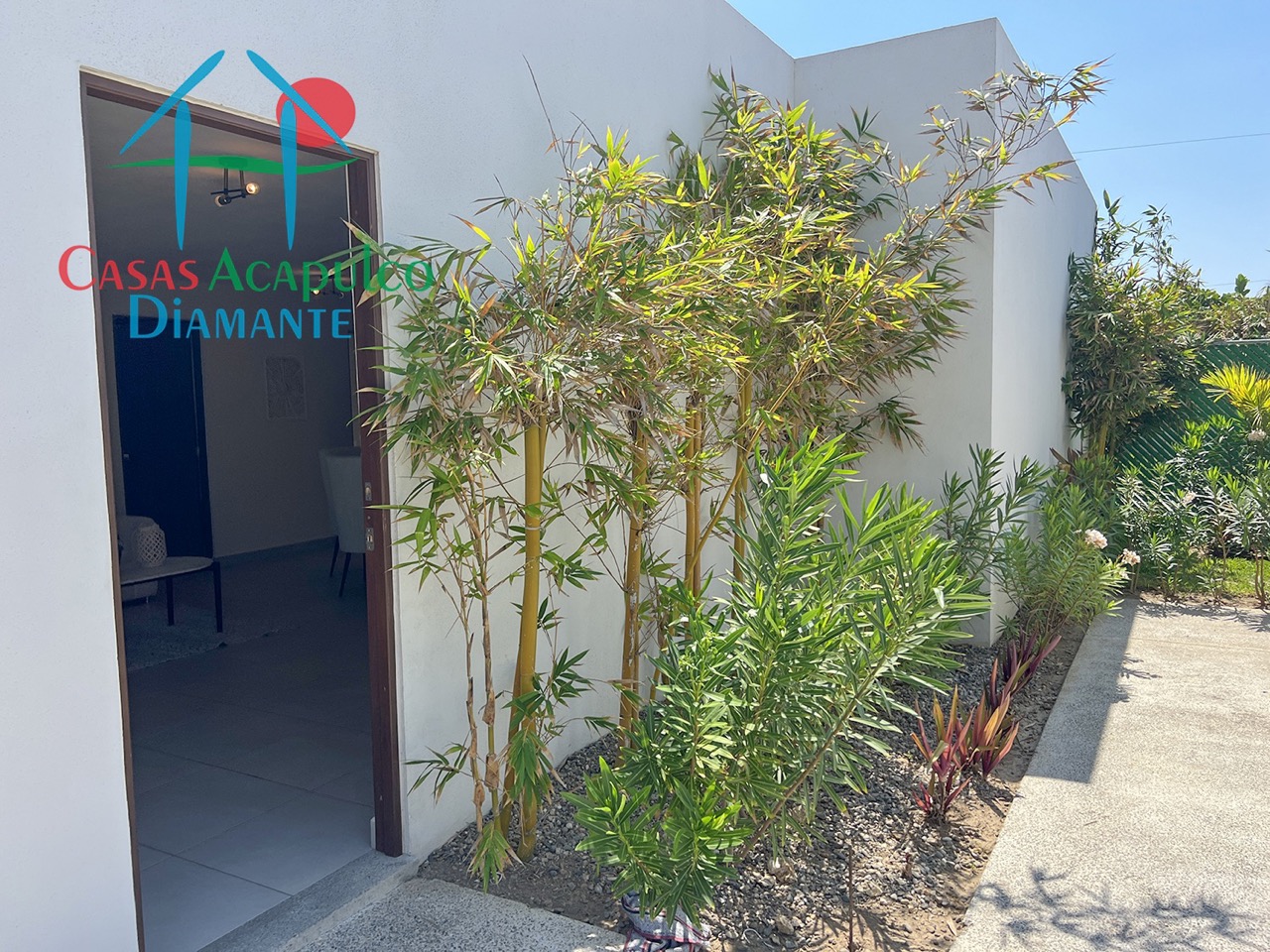 Dream Diamante Perla - Acceso 1